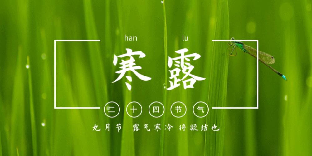 寒露后吃“神仙叶”！89岁名中医常吃这碗粥，气色红润、精力充沛