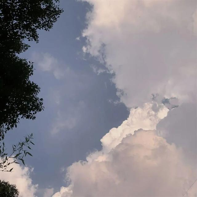 抖音热门背景图插图(15)