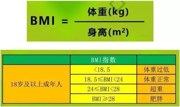 饮食与健康的关系