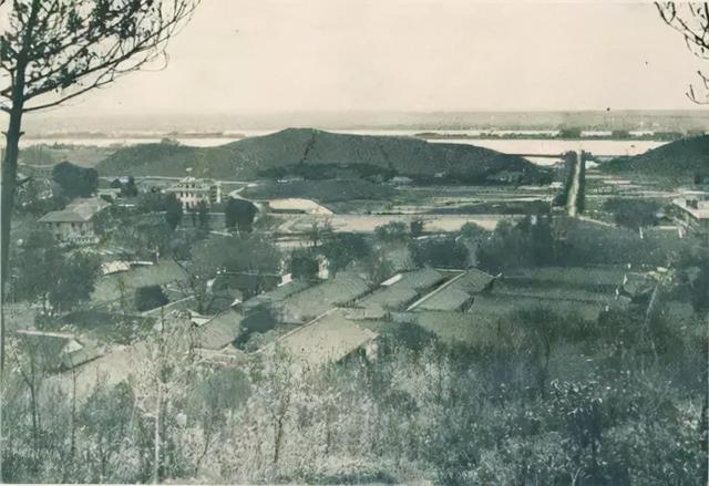 2019长沙药用机械展