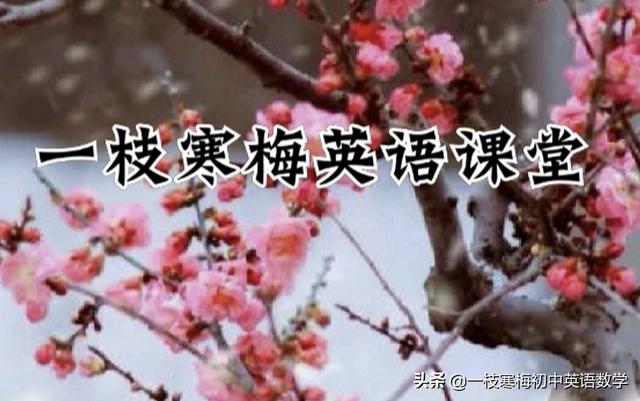 actress的中文(actress的中文翻译)