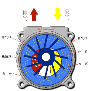 压滤机pid图怎么画