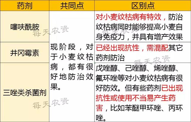 噻呋酰胺【持效期高又安全】，7大使用“关键点”必看！5