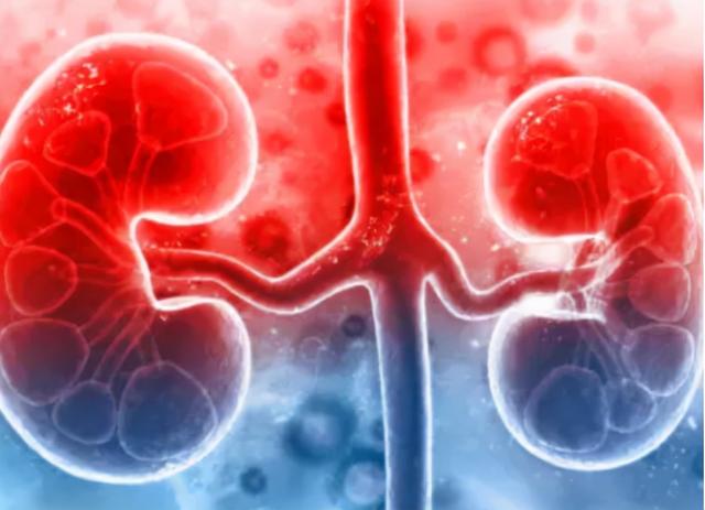 《柳叶刀》：中国因饮食问题，导致的癌症及心血管死亡率排在第一