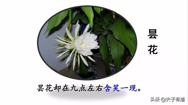 芳组词