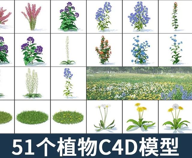 「素材」野生园艺植物树木绿色花朵3D模型素材C4DMAXFBXOBJ
