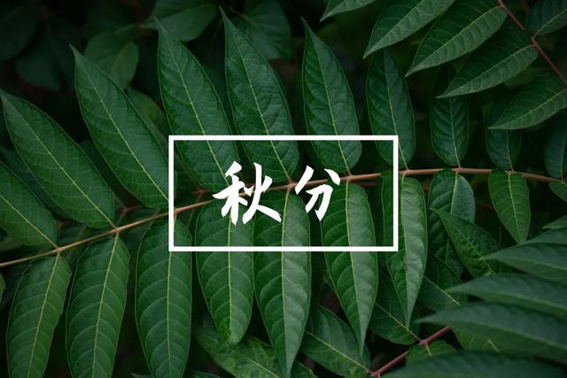 秋分到，心脏最怕的几件事，快来吃颗定心丸