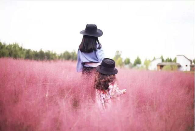 孩子是父母的“复印件”雷鸟自律日记054