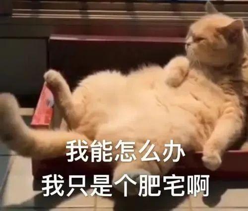 太卷了，都优化到字节码层面了