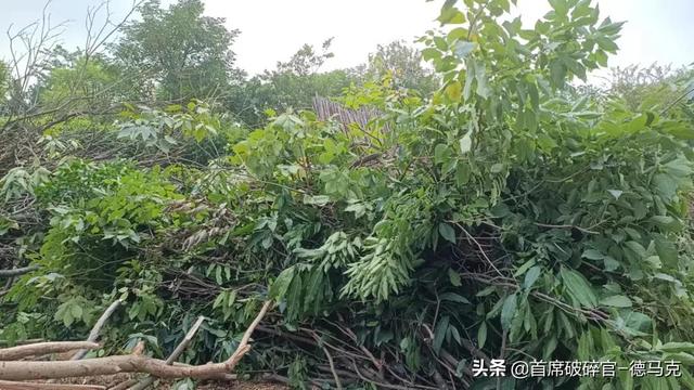 顺德二手破碎机
