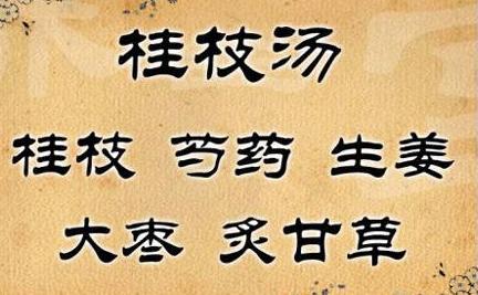 为了你及家人健康，坚持每日学习一方：麻黄汤