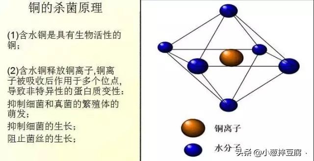 为何松脂酸铜是替代波尔多液的理想杀菌剂？2