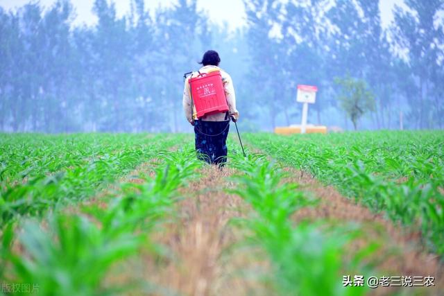 除草剂怎么用？什么时间用？记住这个简单办法，亩收1000斤不发愁3