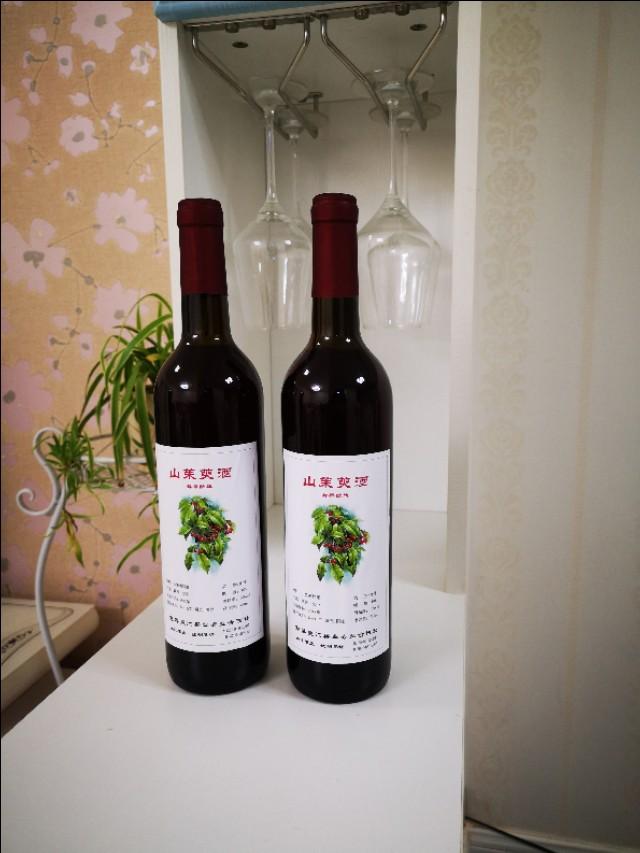 广东省荔枝酒过滤机