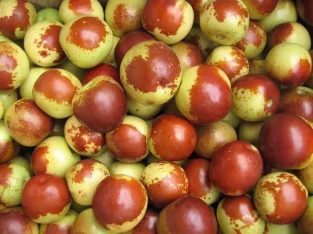 明日白露，应季“6宝”别忘吃，应季而吃，比大鱼大肉还健康