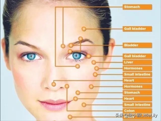 经络到底是什么