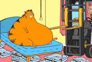 洗衣机洗猫砂
