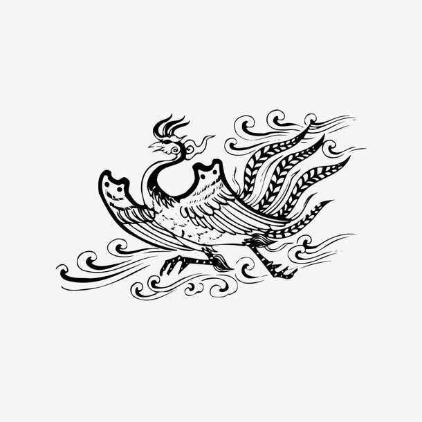 凤凰怎么画(凤凰怎么画好看又不复杂) 资讯 第3张