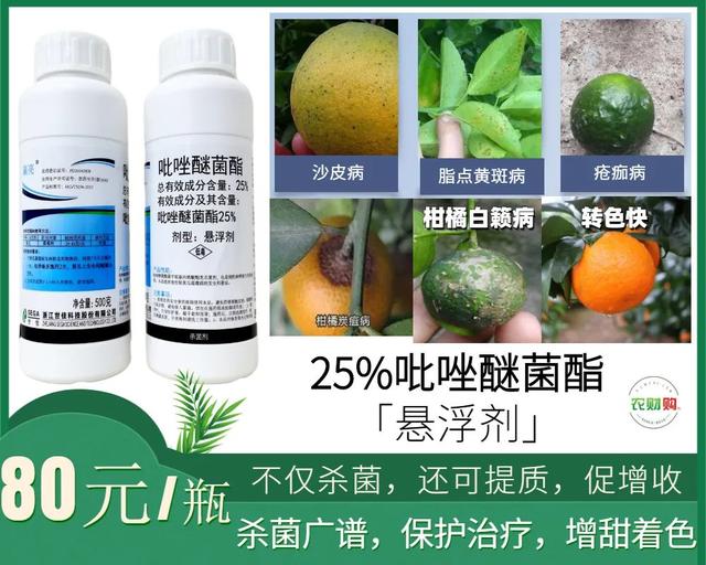 疮痂病，现已发现发病！常规、高阶、以及顶级版用药推荐13