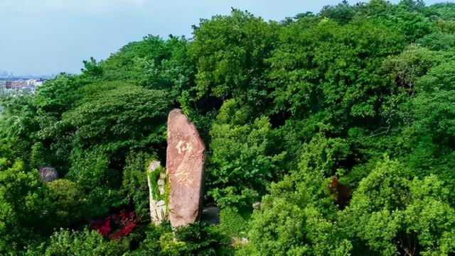 南京仙林大学城