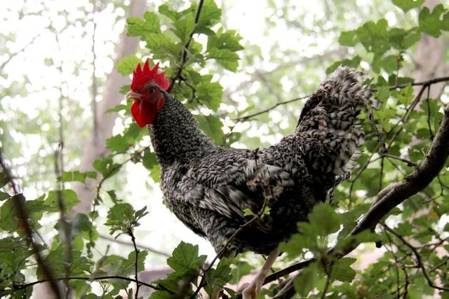 汶上：万元大奖征集城市口号、LOGO