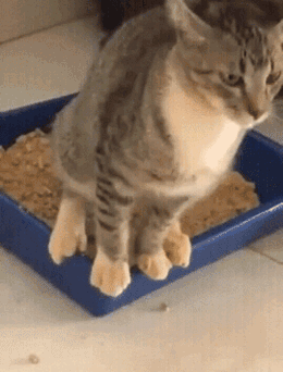 洗衣机洗猫砂