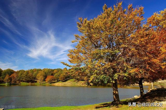 多事之秋，糖尿病患者一定要牢记这6个注意事项，才能避免血糖波动