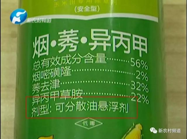 蹊跷？四百亩玉米出现药害、减产！！！除草还是除玉米？你家用过没？4