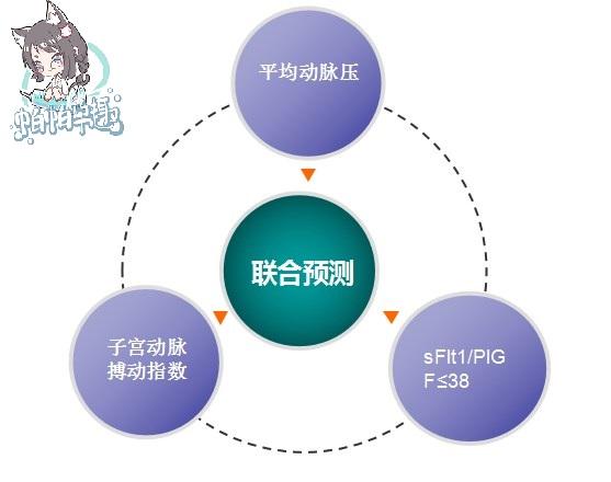 孕妇三联检查什么意思