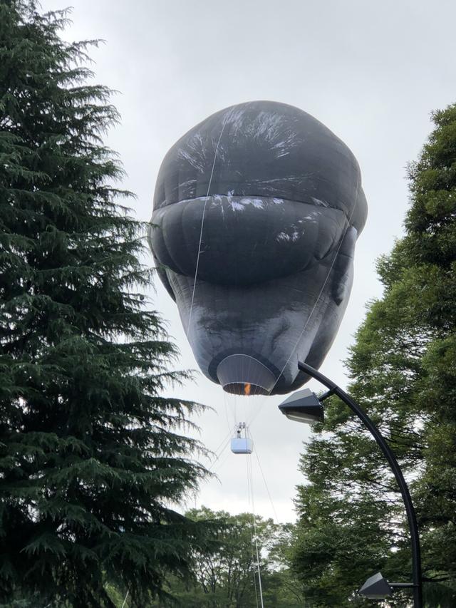 倒过来看吓死人的图(倒过来很恐怖的图)-天晟网