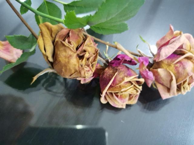 洗砂机出沙视频教程_新型滚筒式洗砂机