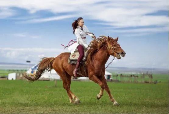 明明天天都在吃肉喝酒，为何藏族人却很少患上三高疾病？值得深思