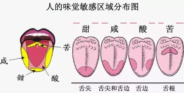甲醇杂醇油过滤机_白酒中杂醇油的危害