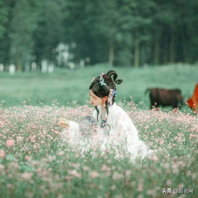 淡雅是什么意思