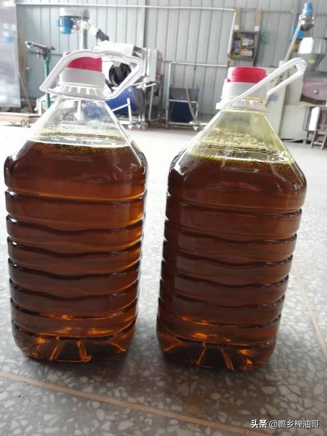 最新菜籽油过滤机