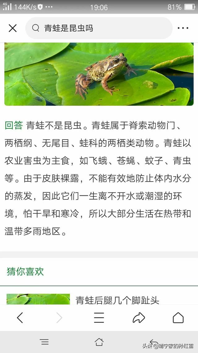 青蛙是昆虫吗