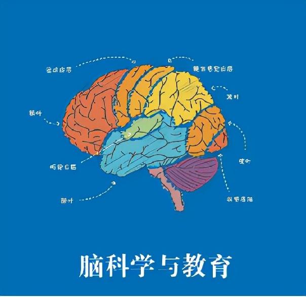 改变未来的教育脑科学课程是如何炼成的