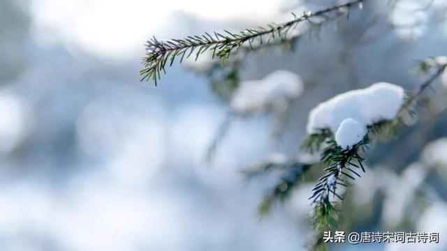 形容雪的成语有什么意思是什么