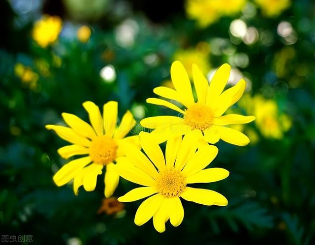 清明节气吃什么？这几种食物健脾、祛湿、养肝，不容错过