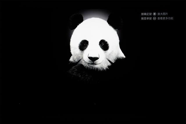 家庭的快乐中继站——海信原画旗舰电视E5H体验分享