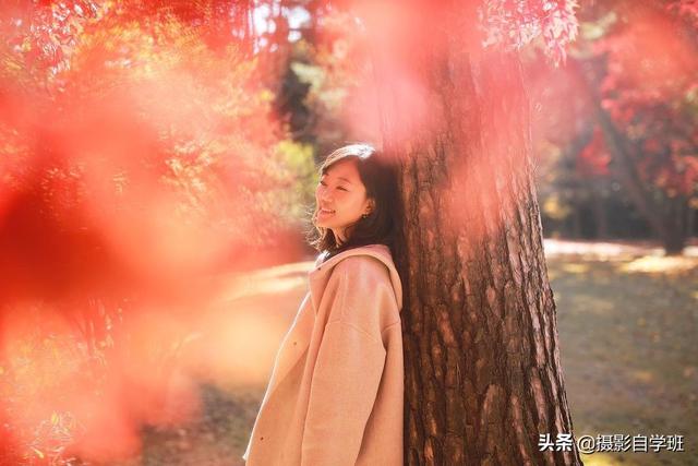 免费拍脸测脸型(在线扫脸测脸型)