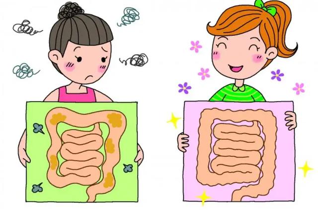 肠道菌群和年龄的关系(脾胃肠道不好怎么调理)-第7张图片