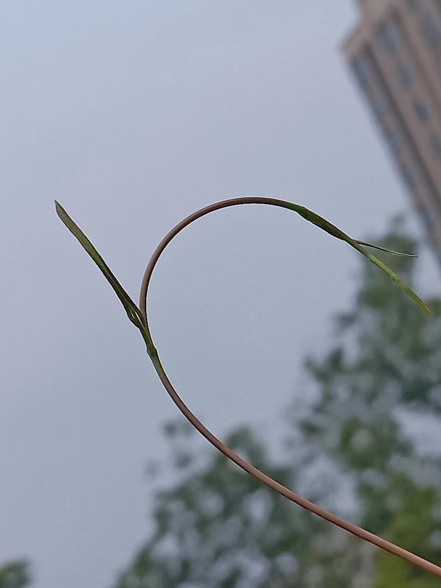 习惯是一种力量