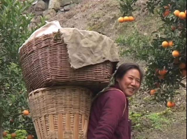 三峡“钉子户”张秉爱：全村搬迁就她不走，她有何苦衷？