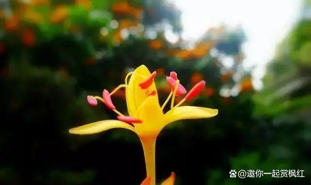 半生已过，淡然生活