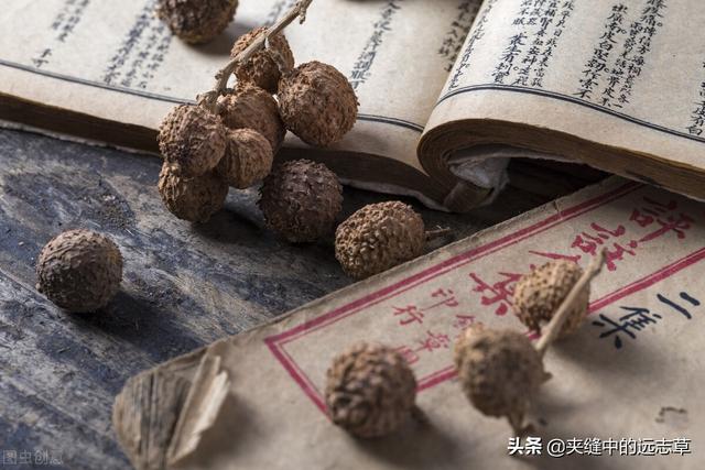 人身诸病，始于脾虚，聊一味白术，送给脾胃虚弱的你