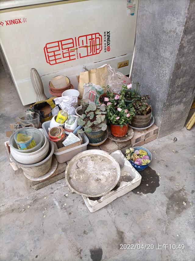 生活随笔记
