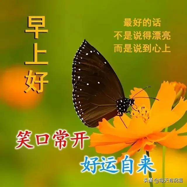 2月19日 朋友圈早上好祝福动态表情图片 清晨早上好暖心祝福句子