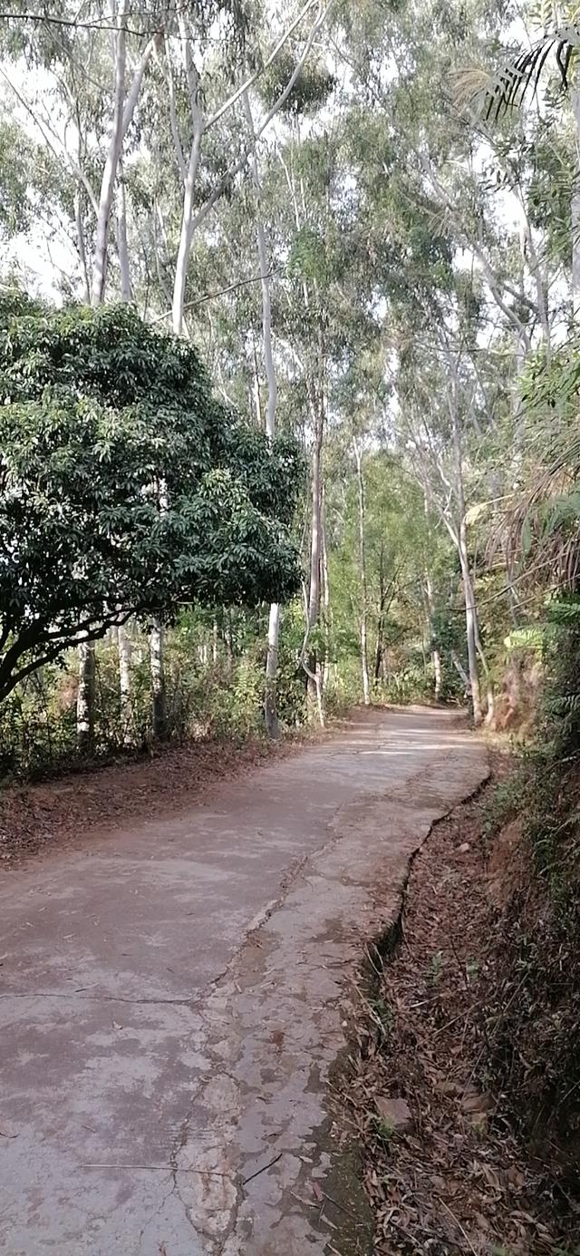 雲彩下的山城系列（三）