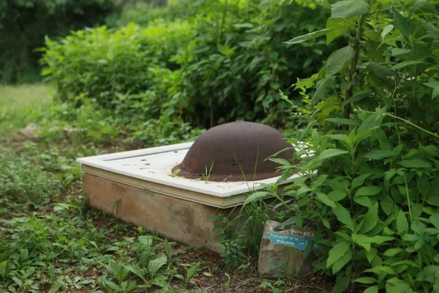 情侣住荒野7年租30亩地自耕自食